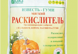 БашИнком