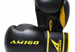 AMIGO