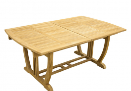 Cambium