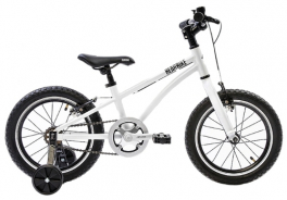 BearBike
