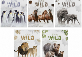 Into the Wild