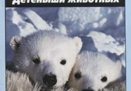 Попурри