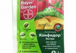 Конфидор