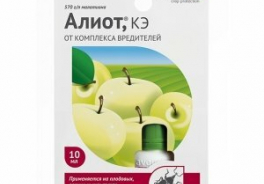 Алиот