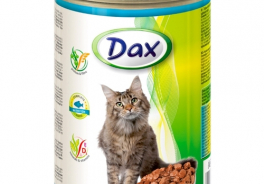 DAX