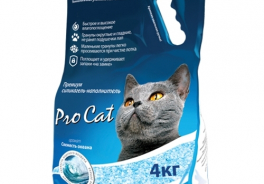 Pro Cat