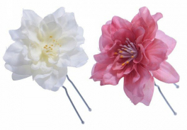 Malina by Андерсен