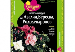 Буйский химический завод