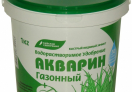 Буйский химический завод