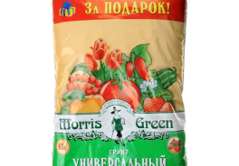 Morris Green