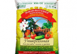 Земля-Матушка