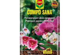 COMPO
