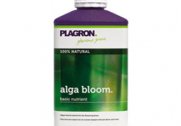 Plagron