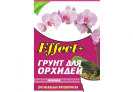 Effect+