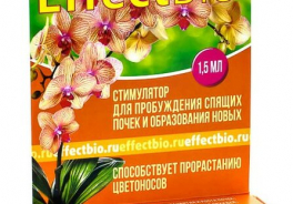 Effect+
