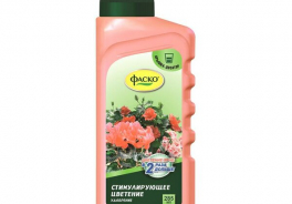 Цветочное счастье