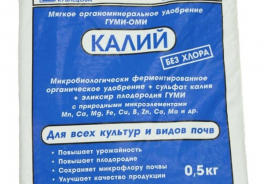 ГУМИ-ОМИ