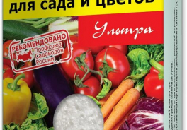 Дюнамис