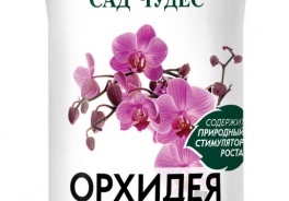 Сад Чудес