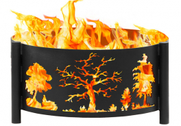 УгольФорест