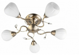 Top Light