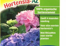 ECOstyle