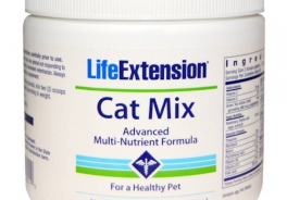 LifeExtension