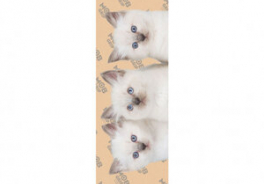 Mob Grip