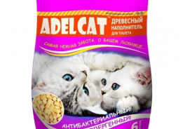 Adel Cat