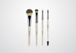 SHIKBRUSH