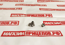 МЗСА