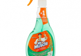 Mr. Muscle