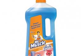 Mr. Muscle