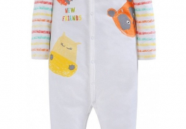 Kiddy Bird