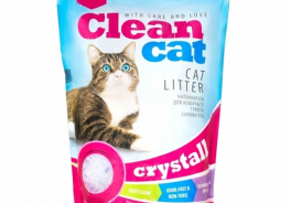 Clean Cat