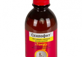 Скипофит