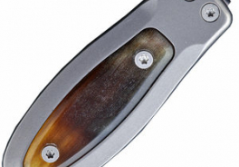 lionSTEEL