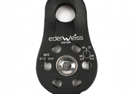 Edelweiss
