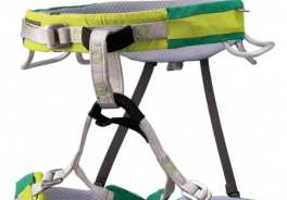 CASSIN