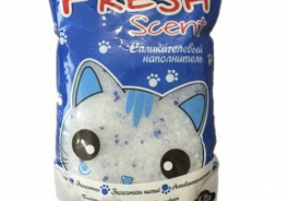 Fresh Scent