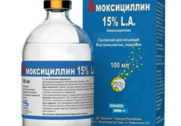 Ветом
