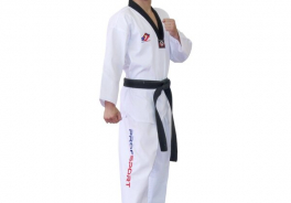 ProfSport