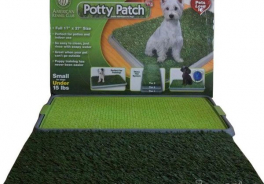 Pet Zoom
