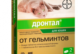 Дронтал (Bayer)