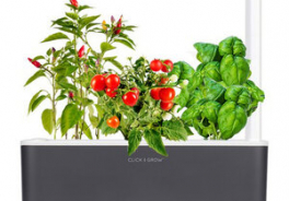 Click & Grow