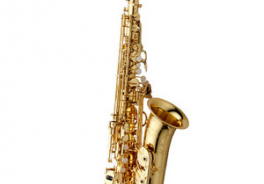 Yanagisawa