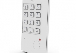 Сибирский Арсенал