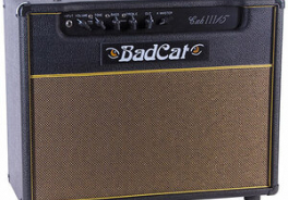 Bad Cat