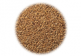 STAMAG