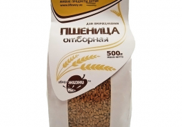 Образ Жизни